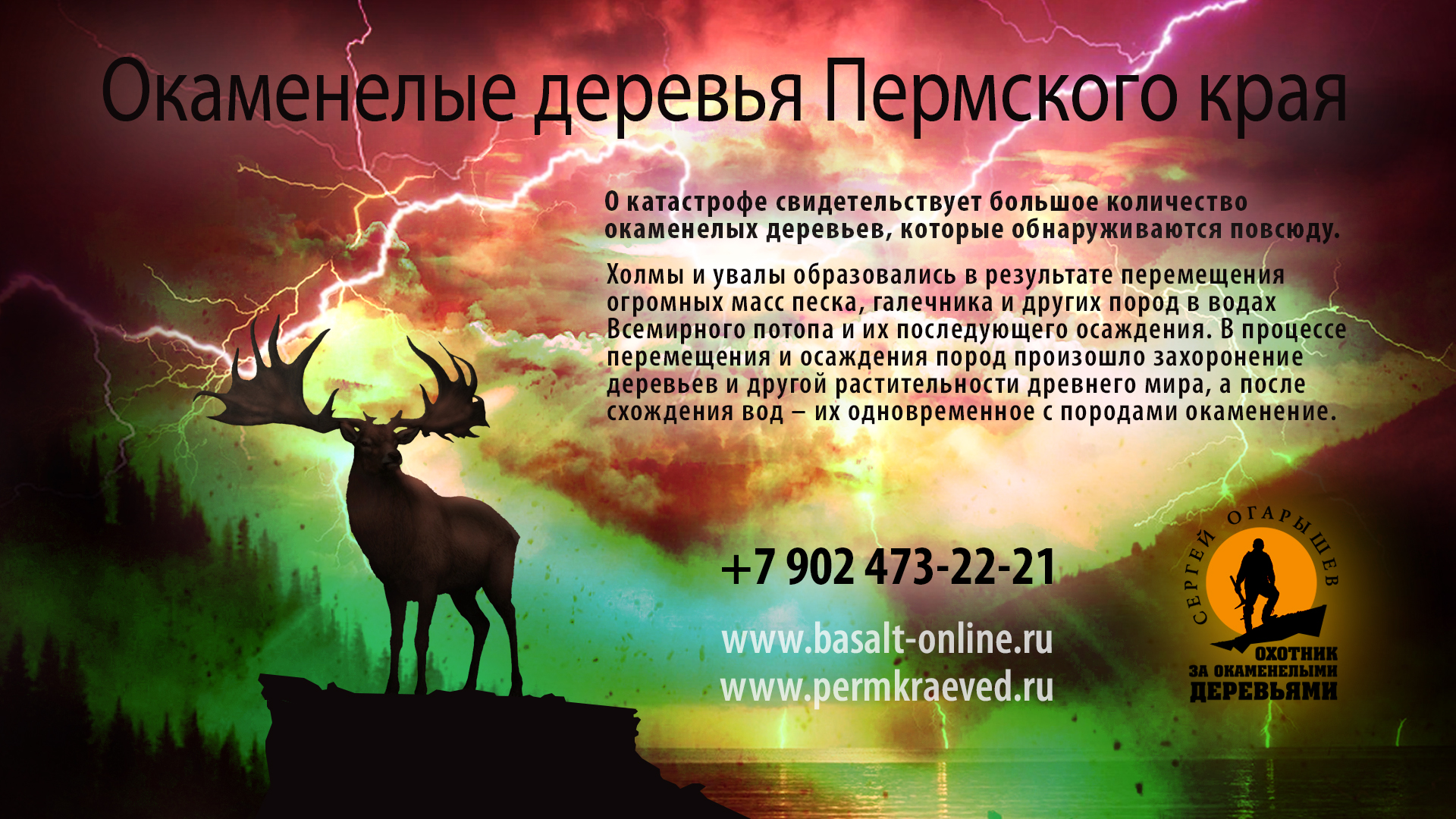 Рекламный баннер для научно-исследовательского проекта (вар. 1)