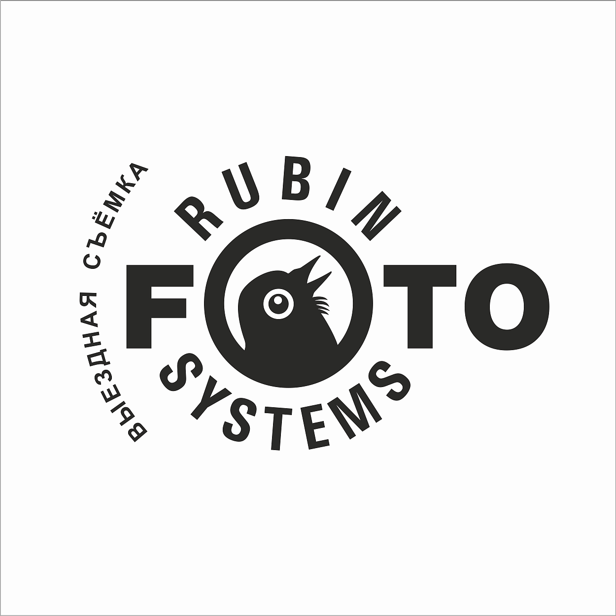 Знак (логотип) для бренда «Rubin Systems Foto»